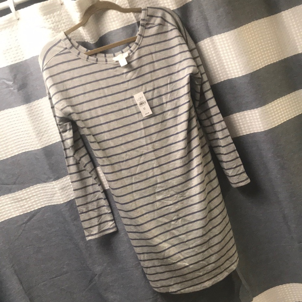 NWT Loft lounge t shirt sweater. Super soft. MD.